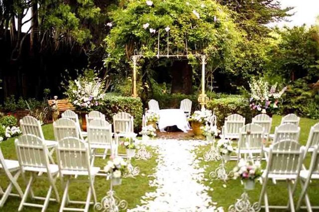 Small Backyard Wedding - green lawn for wedding