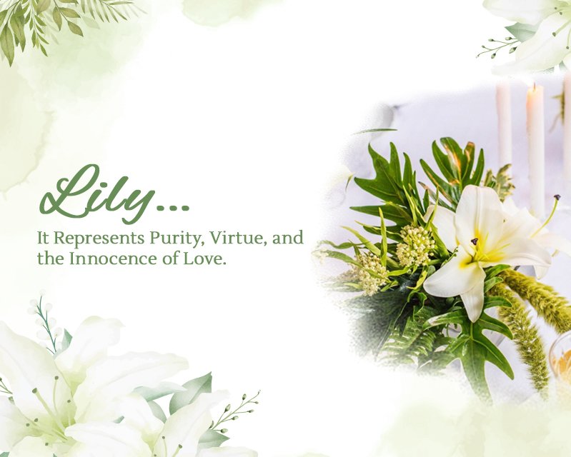 Lily- Signifies Purity and Innocence of Love